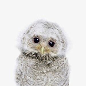 Meet your Posher, Carrie